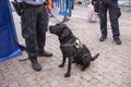 Black police dog sitting by the feet of a police officer holding a leash. The dog has a harness saying Police - Explosives Search