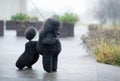 Black poodle