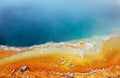 Yellowstone National Park, West Thumb Geyser Basin with Details of Black Pool, Wyoming, USA