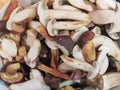 Porcini boletus edulis mushroom food