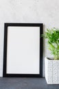 Black poster or photo frame and beautiful plant in concrete pot. Scandinavian style room interior. Royalty Free Stock Photo