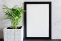 Black poster or photo frame and beautiful plant in concrete pot. Scandinavian style room interior. Royalty Free Stock Photo