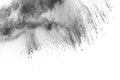 Black powder explosion. The particles of charcoal splatter on white background. Royalty Free Stock Photo