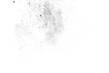 Black powder splatted on white background. Royalty Free Stock Photo