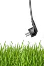 Black power plug and green grass Royalty Free Stock Photo