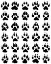 Black print of dogs paws