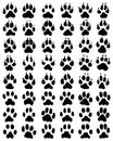 Black print of dogs paws