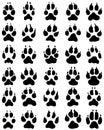 Print of dogs paws