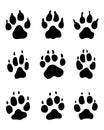 Print of dogs paws Royalty Free Stock Photo