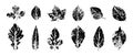 Black prints of leaves silhouette set Royalty Free Stock Photo