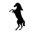 Black prouncing horse icon isolated