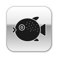 Black Puffer fish icon isolated on white background. Fugu fish japanese puffer fish. Silver square button. Vector.