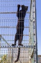 Black puma in a metal cage Royalty Free Stock Photo