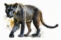 Full Body Black Puma watercolor, Beautiful Animal in Wildlife. Isolate on white background