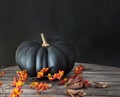 Black pumpkin with berries and leaves