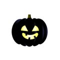 black pumpkin isolated on white background.vector