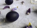 Black and purple painted Easter egg surrounded by tulip petals and pieces of hay on a gray neutral background. Royalty Free Stock Photo