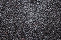 Black Purple Rice Background