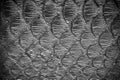 Black python leather, skin texture for background. Royalty Free Stock Photo