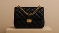 Black quilted leather handbag with gold chain strap on neutral studio background Royalty Free Stock Photo