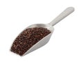 Black Quinoa in a Cast Aluminum Scoop