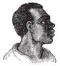 Black race, vintage engraving