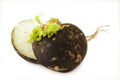 Black Radish Royalty Free Stock Photo