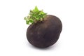 Black radish Royalty Free Stock Photo