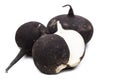 Black radish isolated on white background Royalty Free Stock Photo