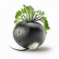 black radish isolated on white background.generative AI