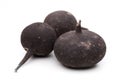 Black radish isolated on white background Royalty Free Stock Photo