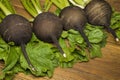 Black radish and leaves on the wooden boards