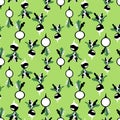 Black radish with tops on green seamless pattern vector Royalty Free Stock Photo