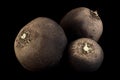 Black radish vegetable closeup Royalty Free Stock Photo