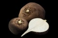 Black radish vegetable closeup Royalty Free Stock Photo