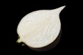 Black radish vegetable closeup Royalty Free Stock Photo