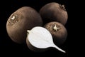 Black radish vegetable closeup Royalty Free Stock Photo