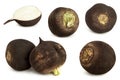 Black radish vegetable root collection Royalty Free Stock Photo