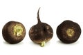 Black radish vegetable root Royalty Free Stock Photo
