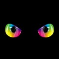 Black rainbow eyes