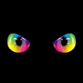 Black rainbow eyes Royalty Free Stock Photo