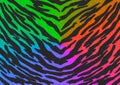 The Black-Rainbow gradient Tiger print camouflage texture, carpet animal skin patterns or backgrounds, 7 colors of raibow gradient