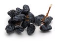 Black raisin isolated on white Royalty Free Stock Photo