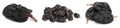 Black raisin isolated on white background with clipping path. Top view. Flat lay. Set or collection Royalty Free Stock Photo