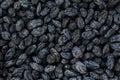 Black Raisin texture, popular dried fruit. Dried grapes. Royalty Free Stock Photo