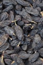 black raisin on white background, close up, Royalty Free Stock Photo