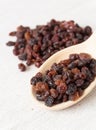 Black raisins Royalty Free Stock Photo