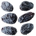 Black raisins. Collection isolated on white Royalty Free Stock Photo