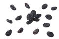 black raisins isolated on white background. top view Royalty Free Stock Photo