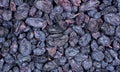 Black raisins texture background. sweet dried fruit. blue grape raisins Royalty Free Stock Photo